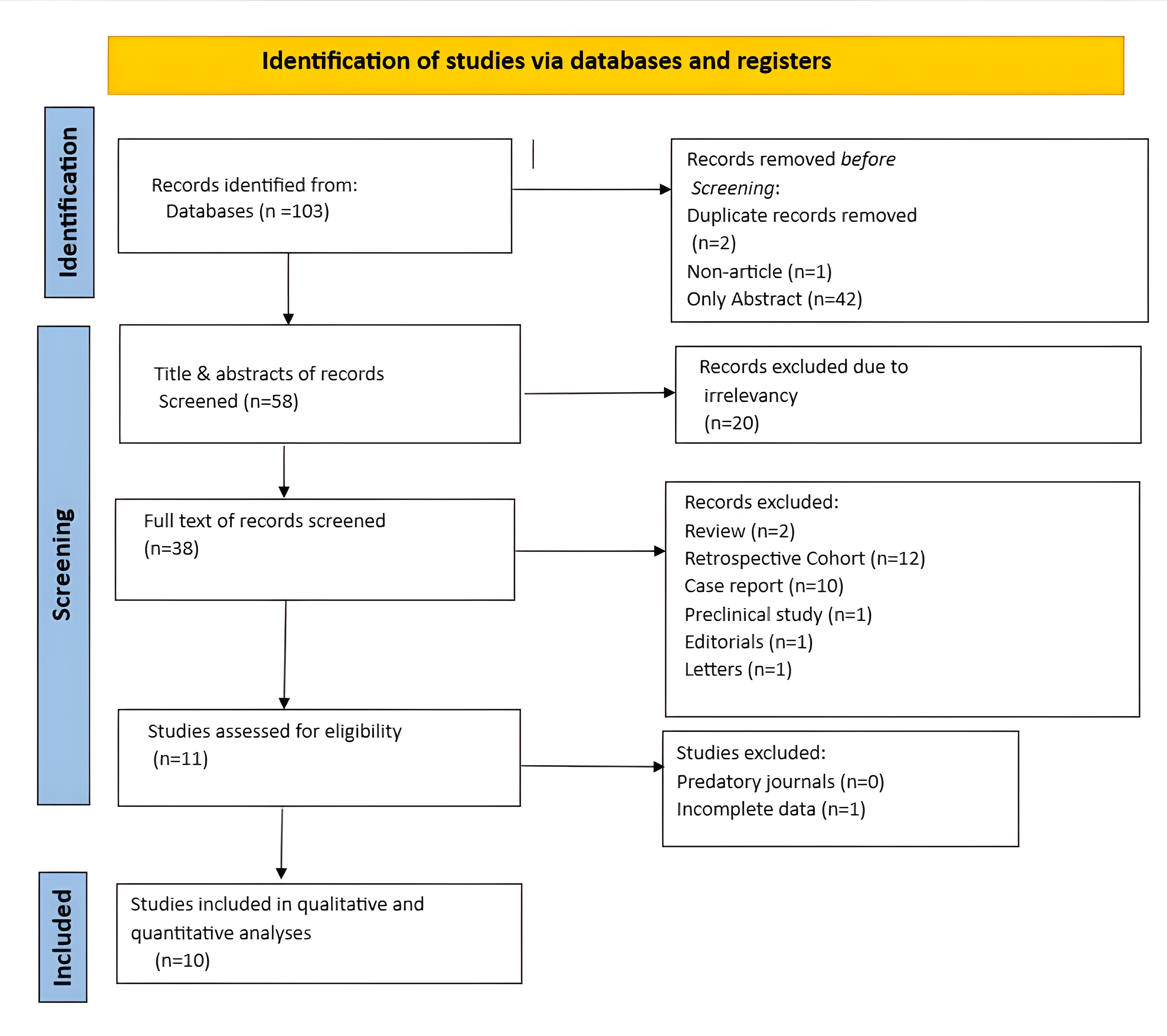 Figure 1. Study selection PRISMA flow chart